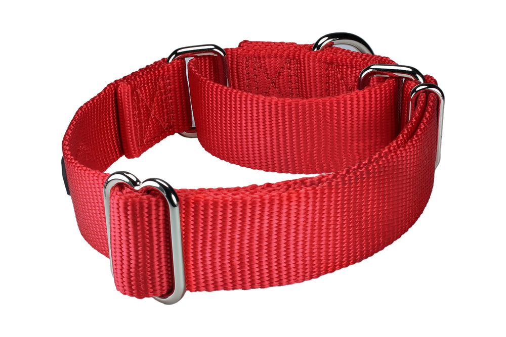 Mikivery collar martingale talla M para perros medianos.