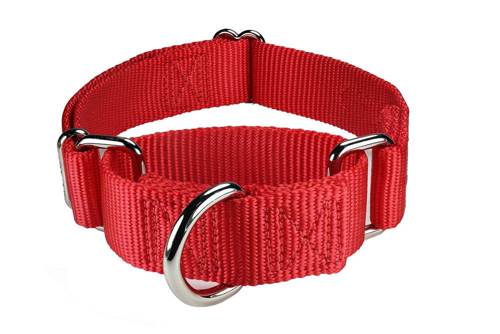 Mikivery collar martingale sin hebilla para entrenamiento suave.