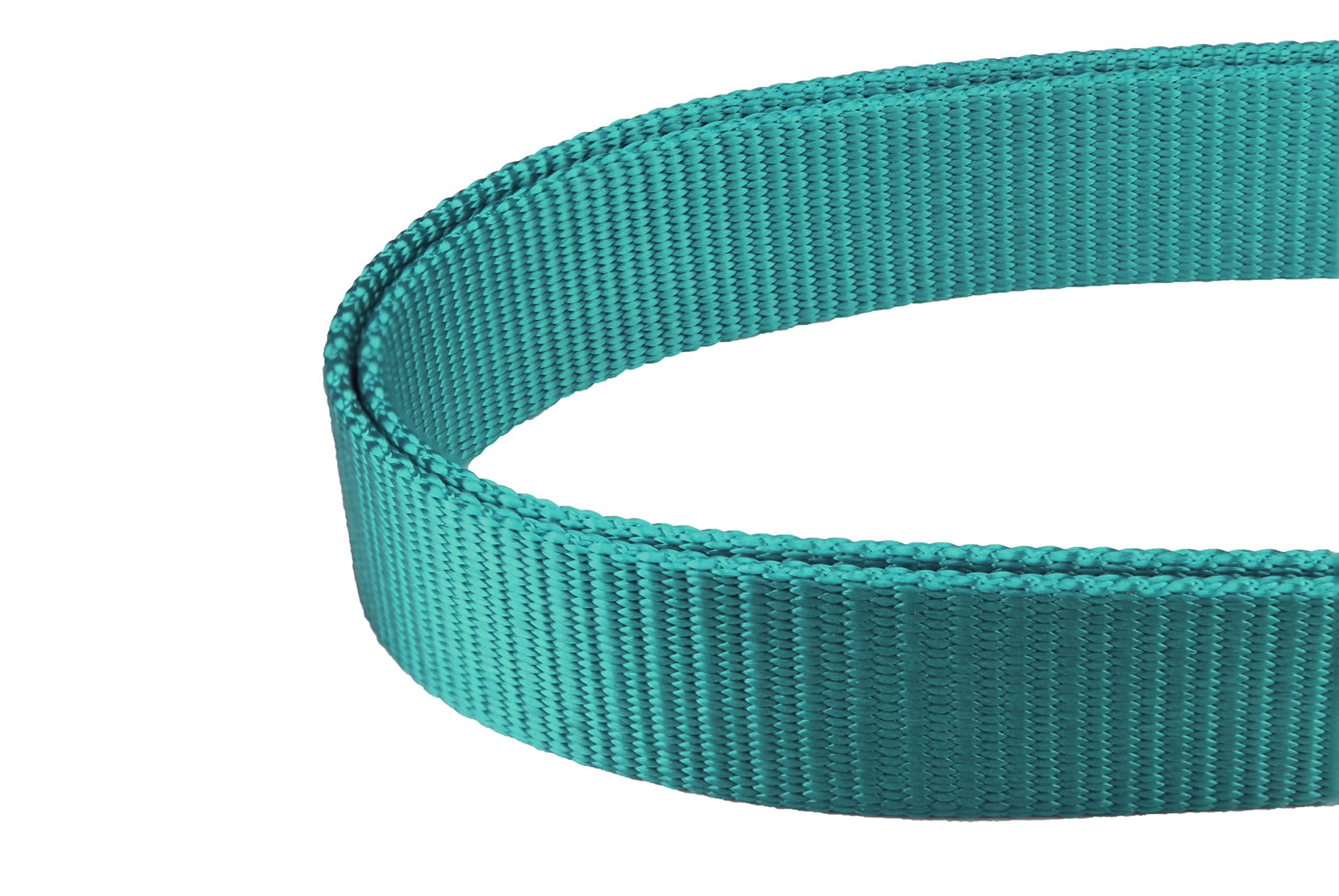 mikivery collar teal con ajustes, ideal para sesiones de entrenamiento