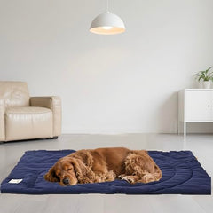 MikooMikoo cama-perro-diseno-bullseye guía al perro durante entrenamiento