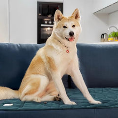 MikooMikoo cama-perro-lavado-facil-maquina, limpieza rápida