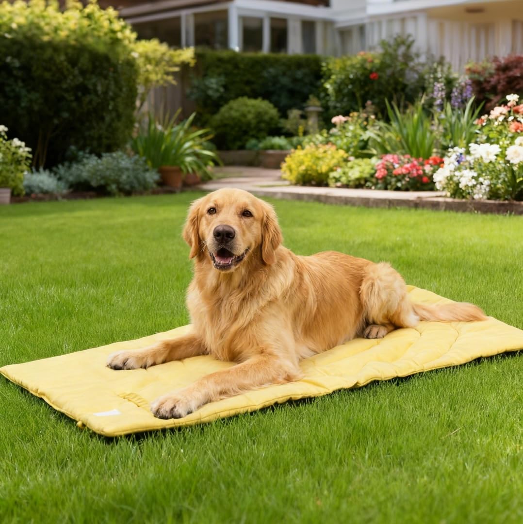 MikooMikoo cama-perro-uso-interior-exterior, versátil para casa y exterior