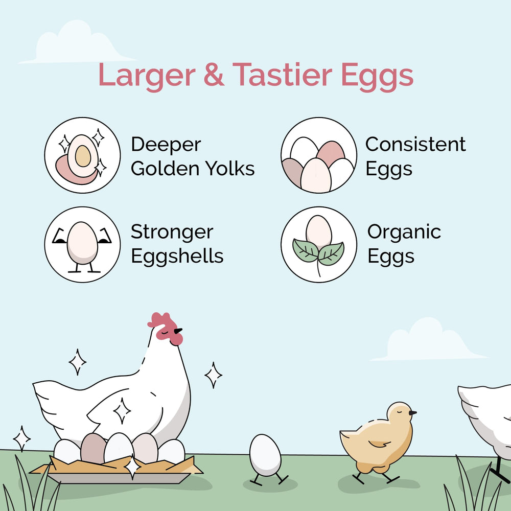 Mile Four aporta 18% proteína para aves activas y producción estable de huevos
