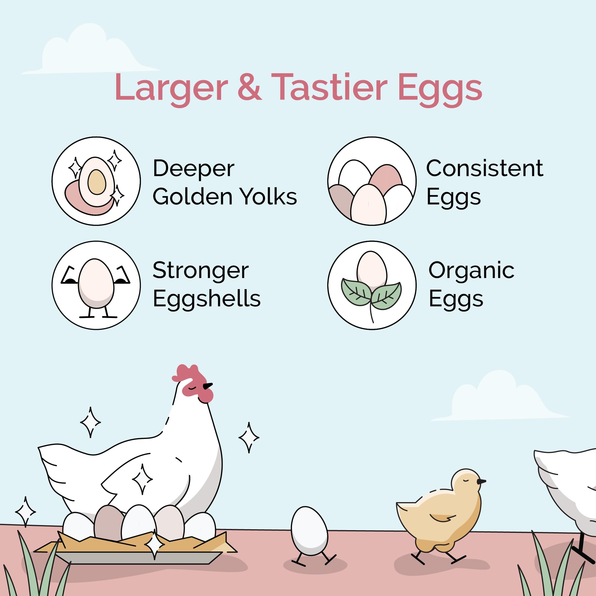 Mile Four alimento orgánico para gallinas en mash, ideal para pollitos