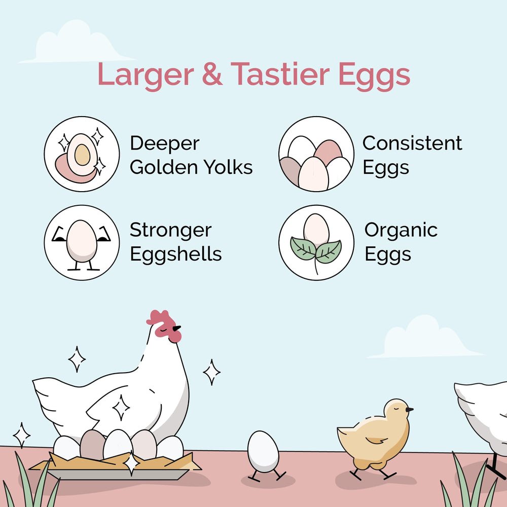 Mile Four alimento orgánico para gallinas en mash, ideal para pollitos
