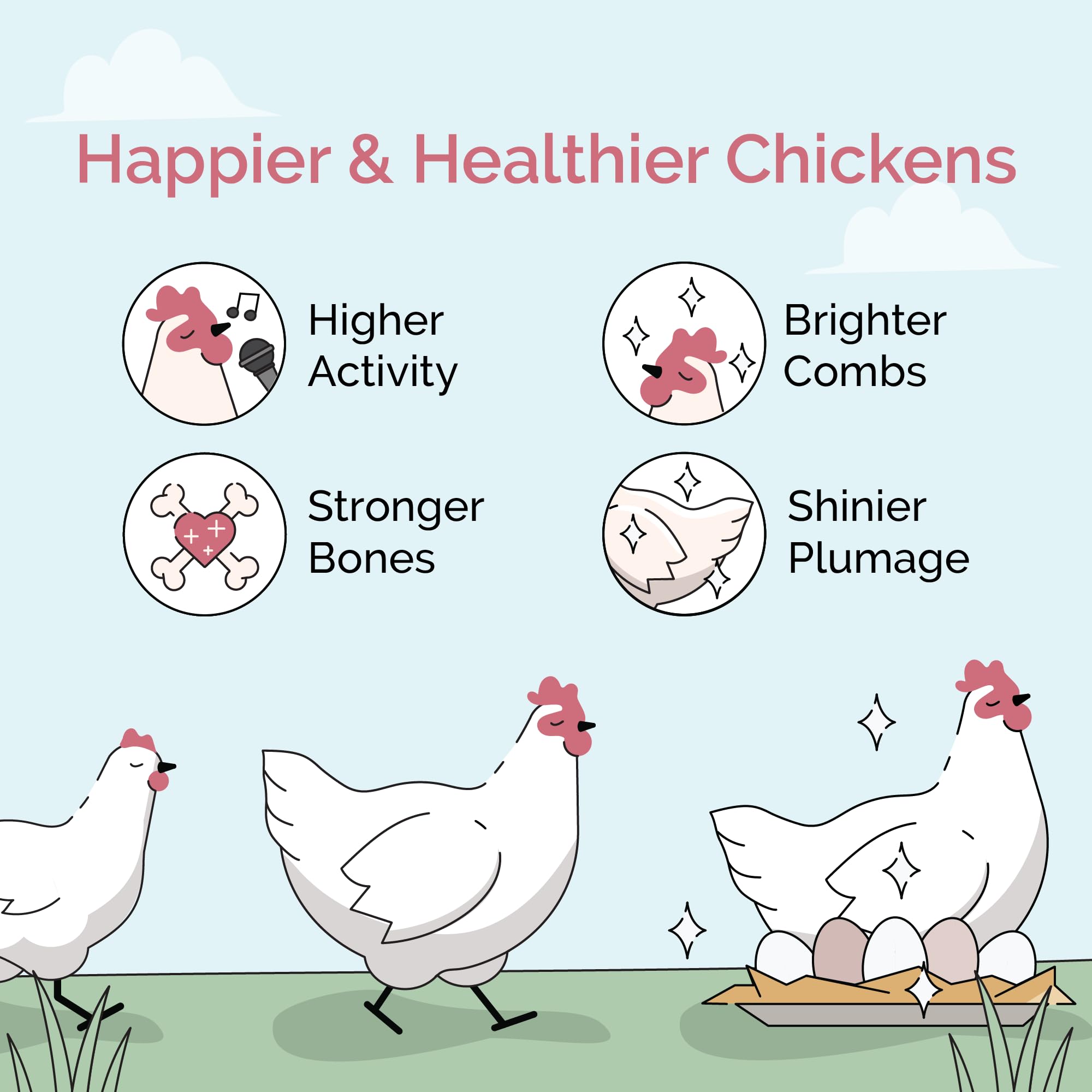 Mile Four alimento no medicado para aves sanas y plumaje brillante