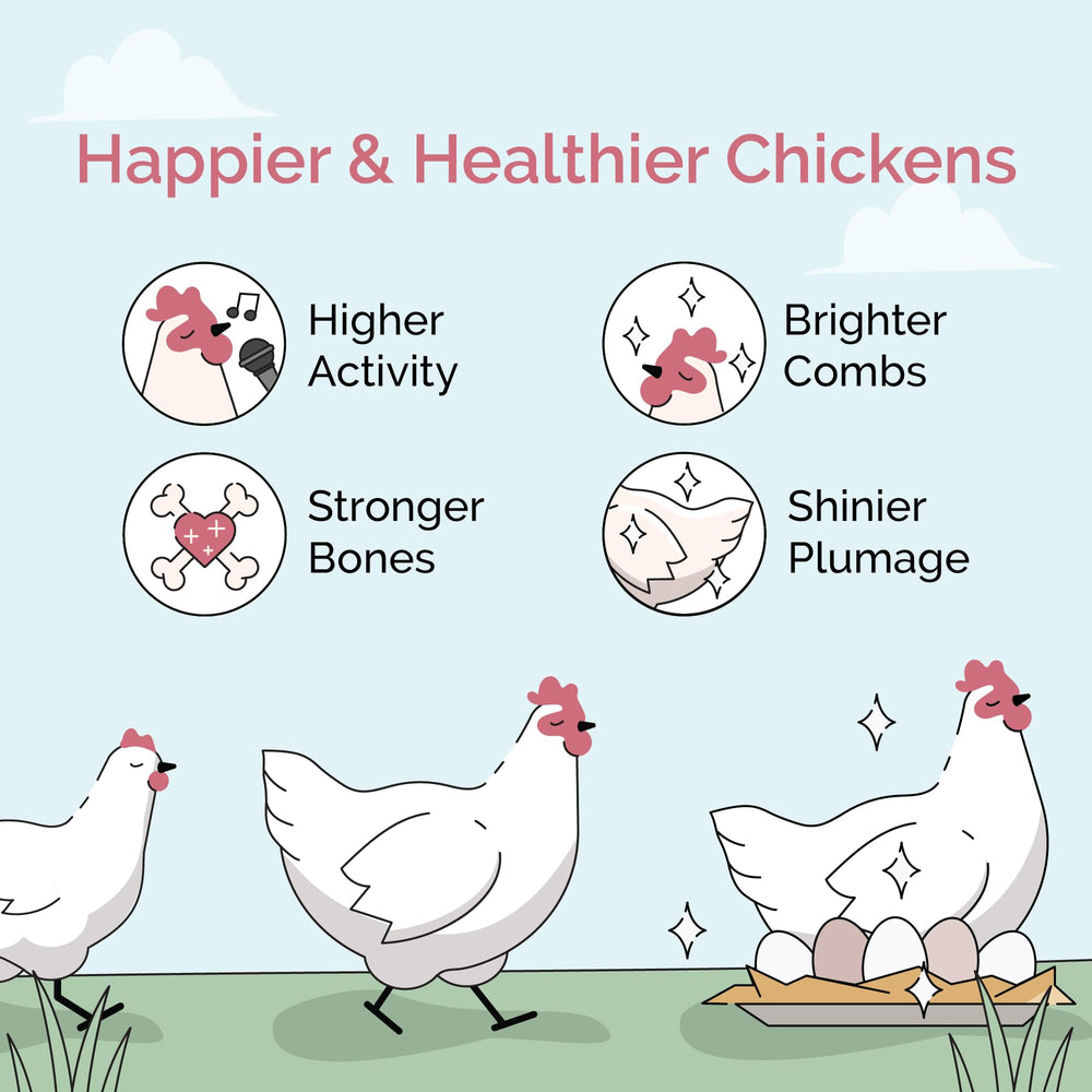 Mile Four alimento no medicado para aves sanas y plumaje brillante