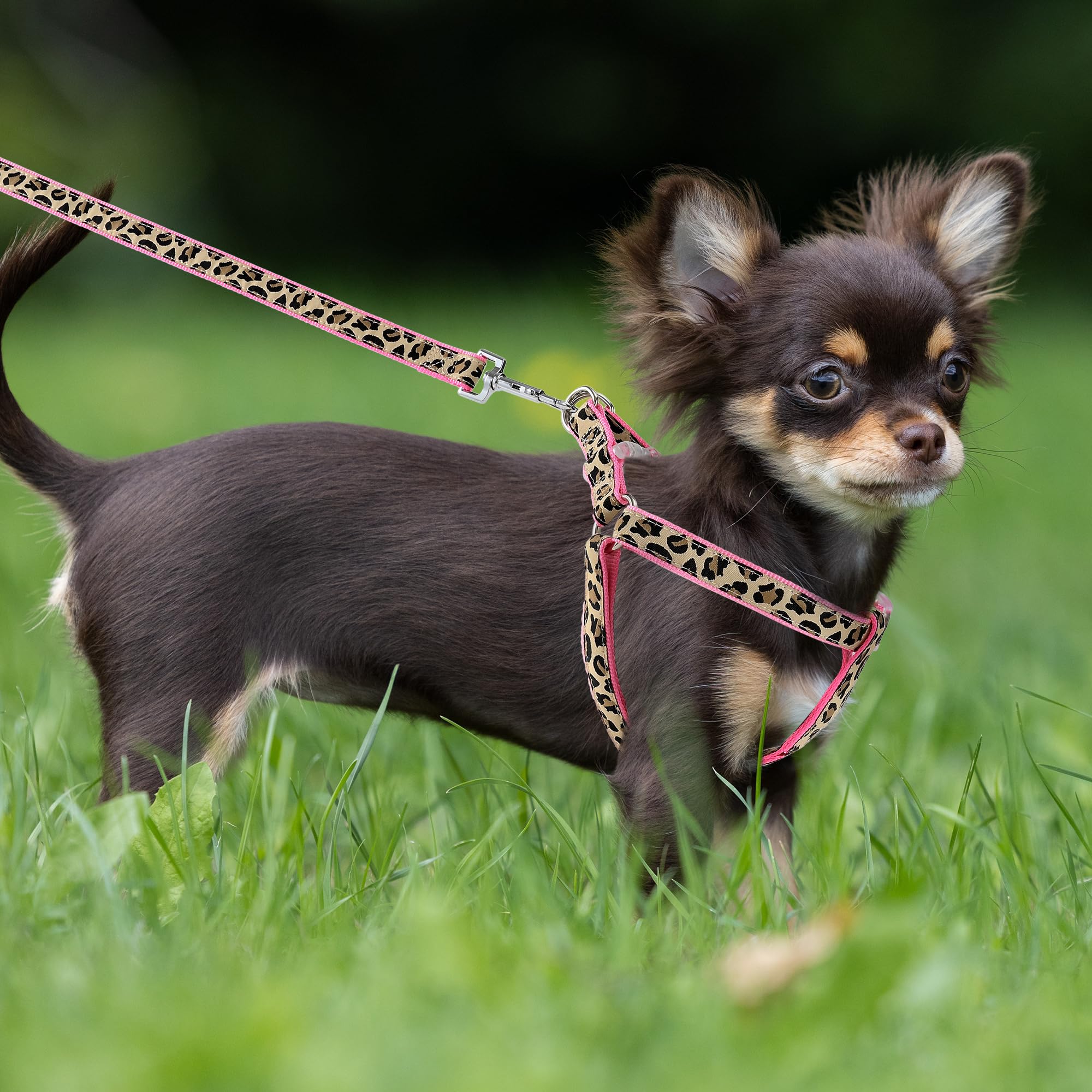 Arnés seguro para perros pequeños con contraste de pelo en rosa Mile High Life.