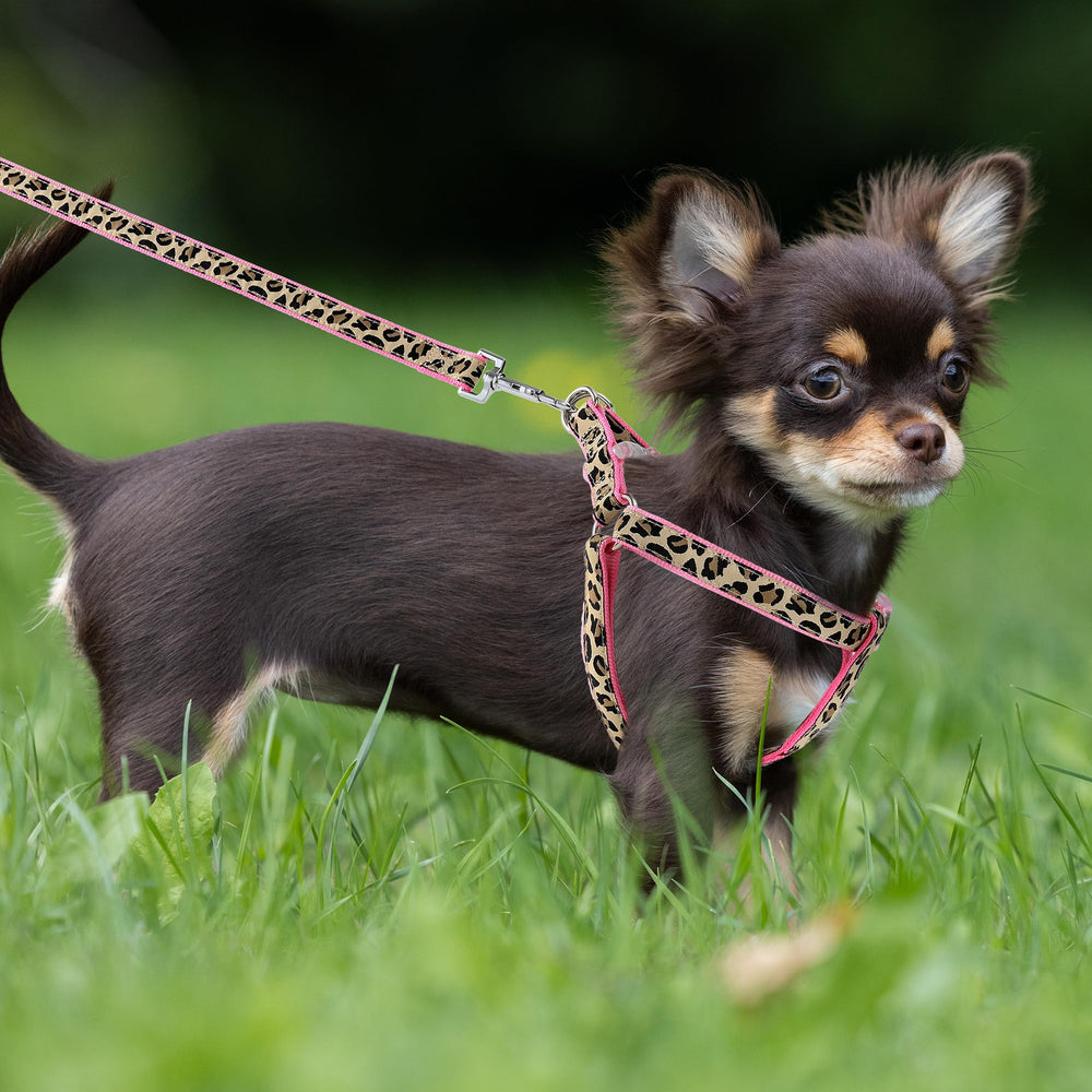 Arnés seguro para perros pequeños con contraste de pelo en rosa Mile High Life.