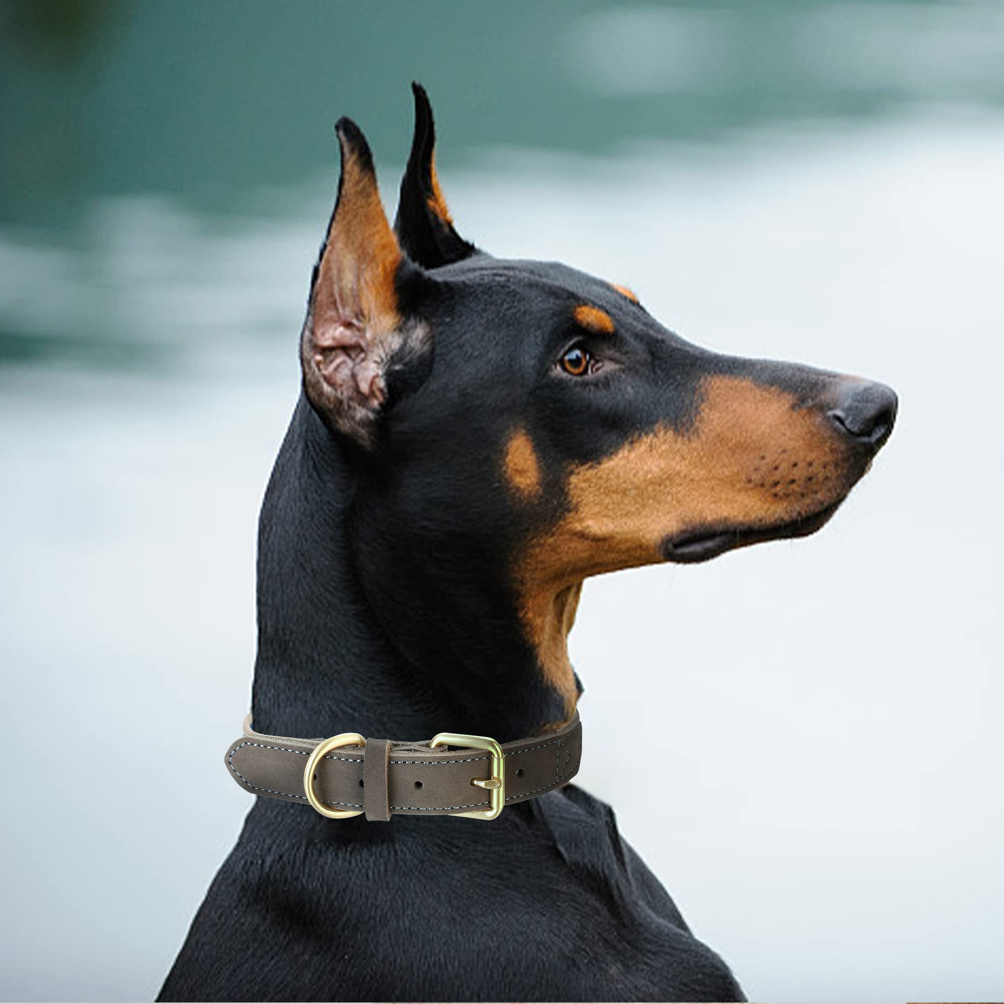 Mile High Life collar con hebilla pasador metálica, ajuste seguro.