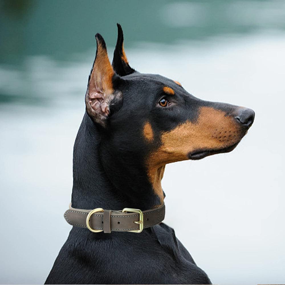 Mile High Life collar con hebilla pasador metálica, ajuste seguro.