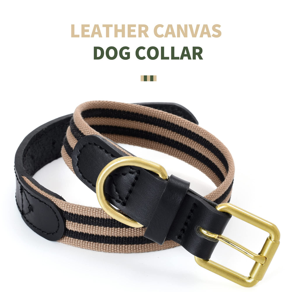 Collar Mile High Life con lona resistente para uso diario.