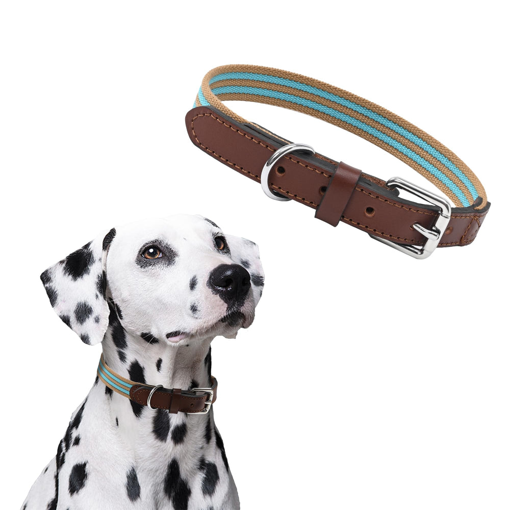 Mile High Life collar-perro-canvas-resistente, perfecto para aventuras al aire libre.