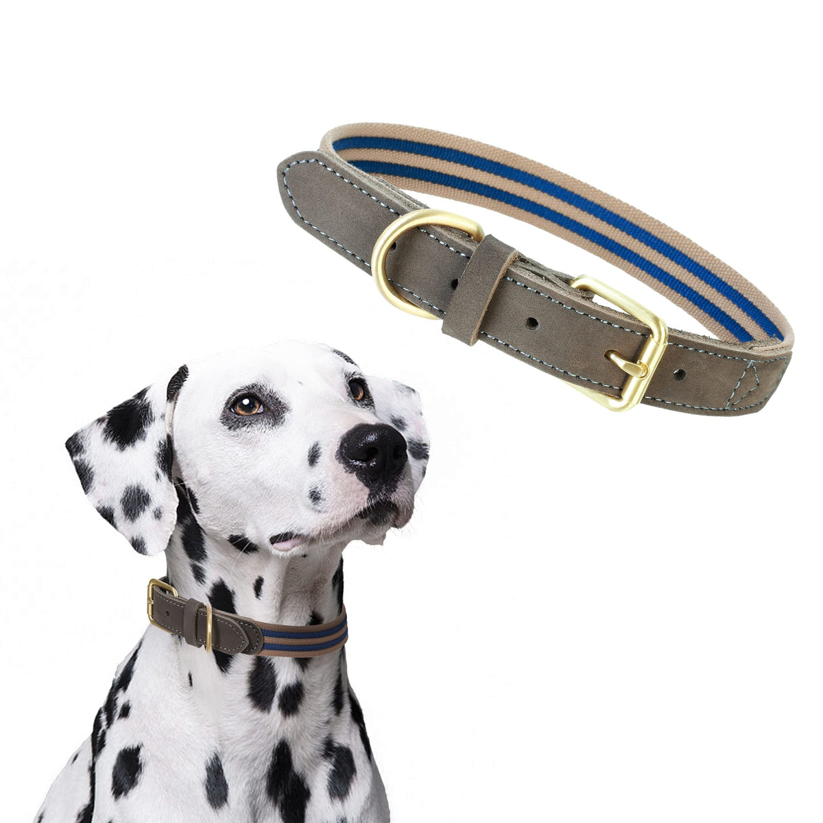 Mile High Life collar de cuero y lona, duradero para paseos diarios.