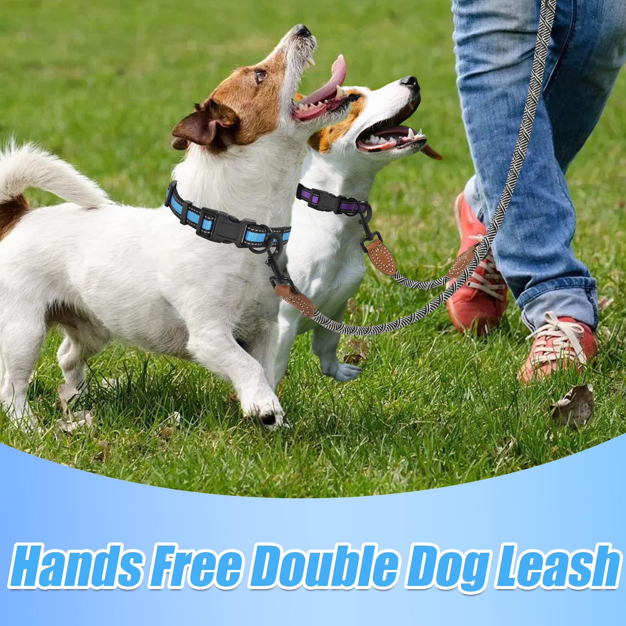 Mile High Life: soporte para dos perros con control y comodidad.
