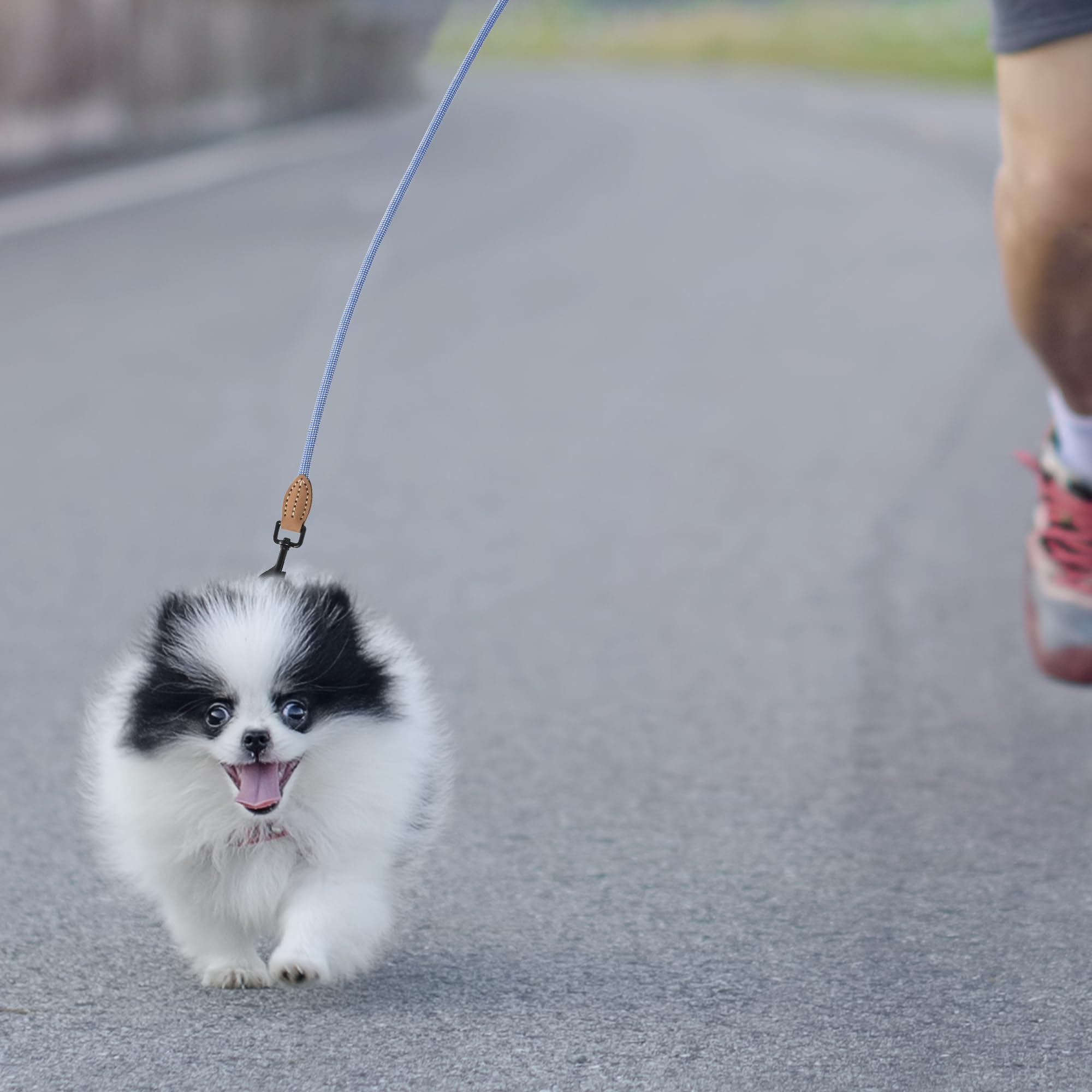 Regalo ideal para dueños de perros.