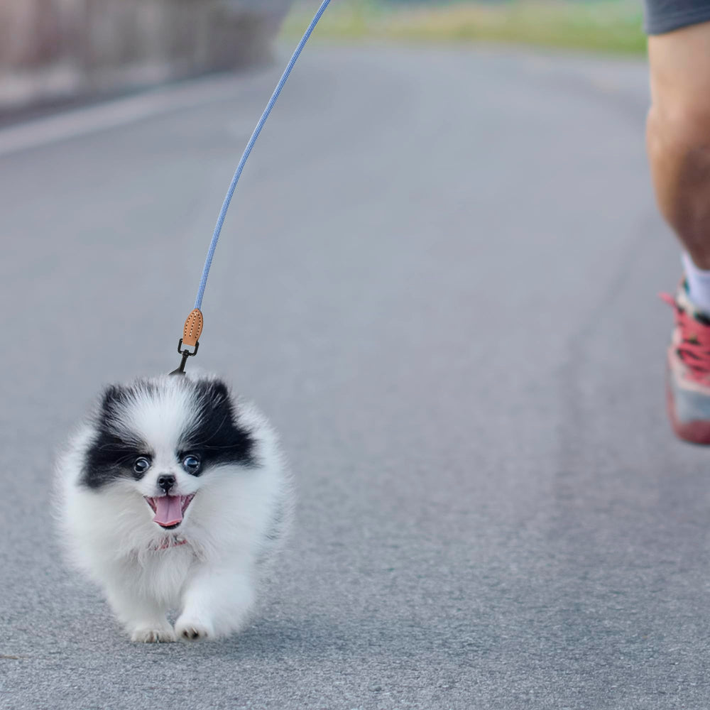 Regalo ideal para dueños de perros.