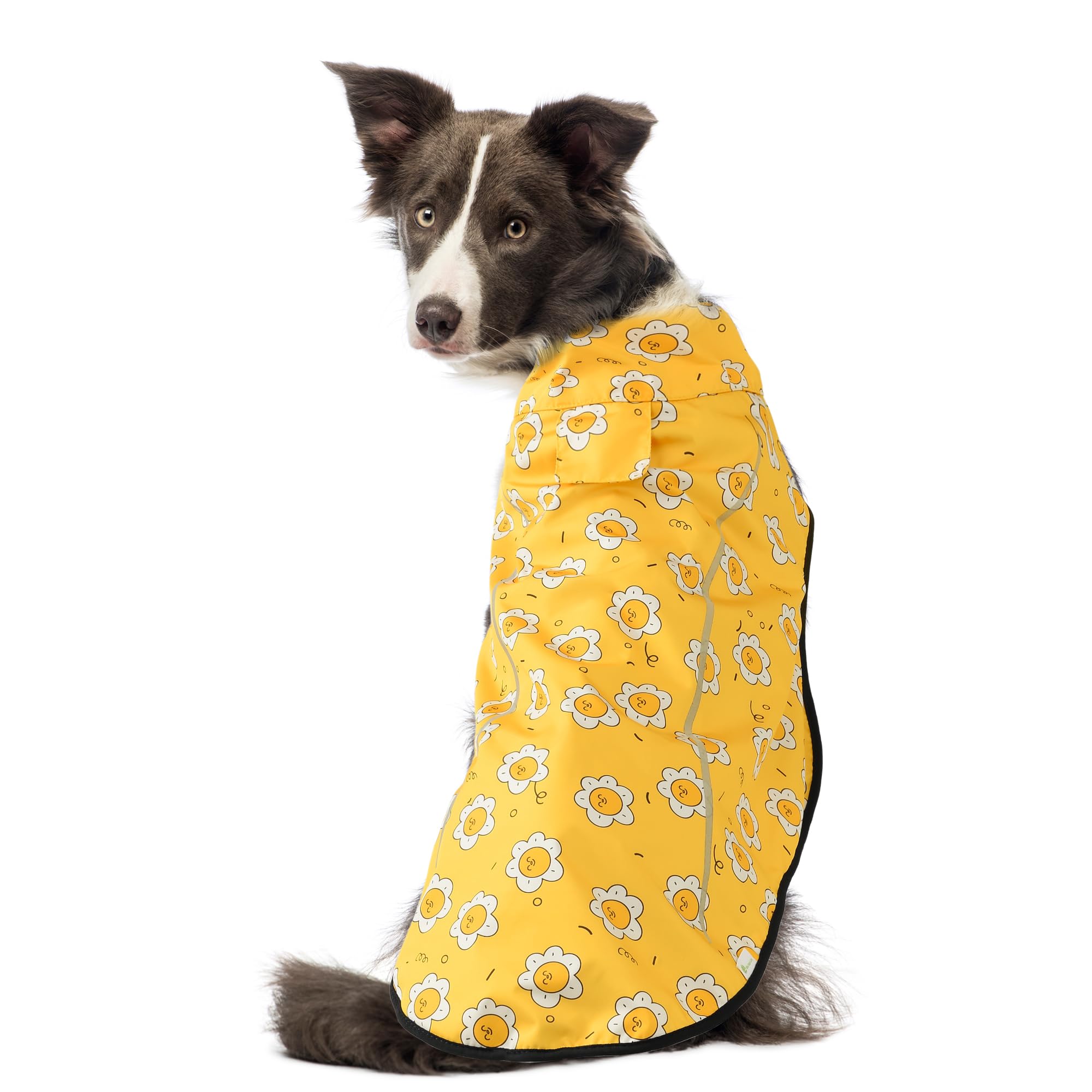 Mile High Life chubasquero para perro amarillo, franja reflectante para mayor visibilidad nocturna