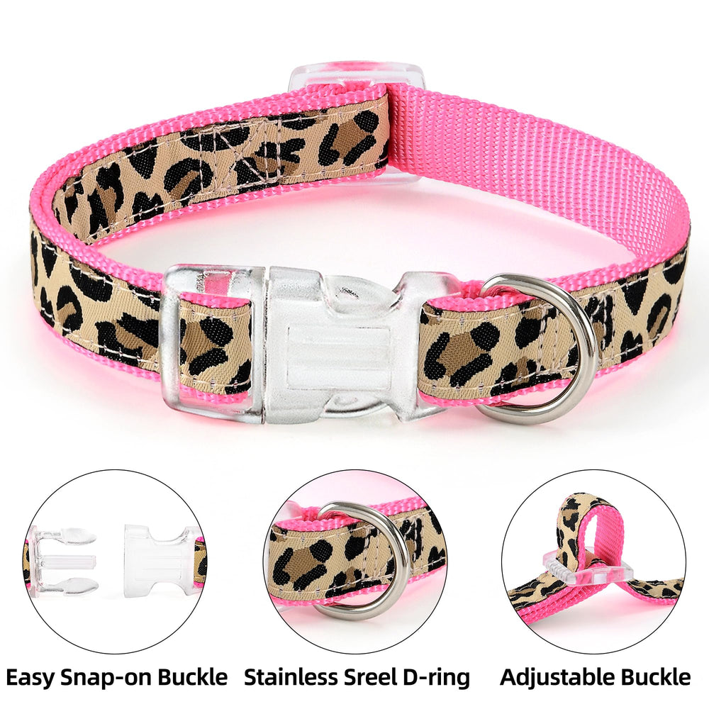 Perro pequeño caminando con conjunto rosa leopardo de Mile High Life.