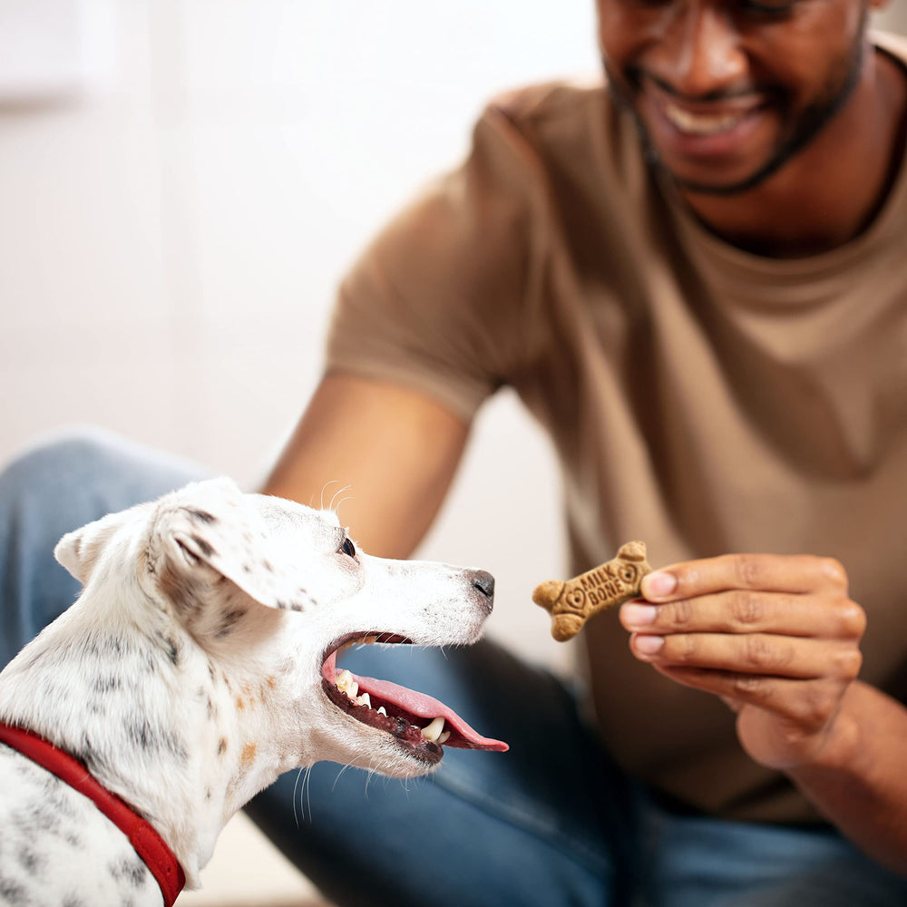 Milk-Bone crujiente hueso snack para perros, ideal para premiar.
