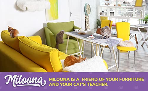 Miloona protector para muebles, uso diario con gatos.