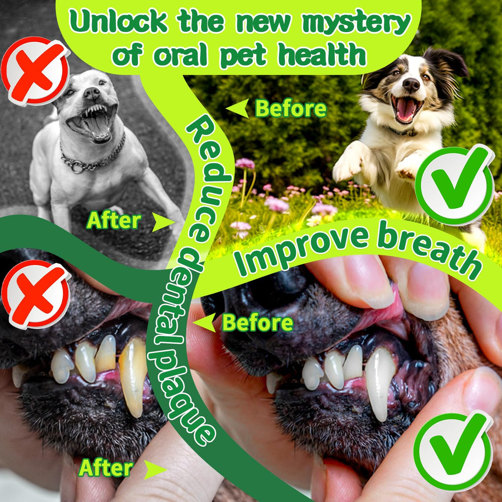 Mimo Style Dientes Perro Blancos: resultados visibles en dientes y encías.