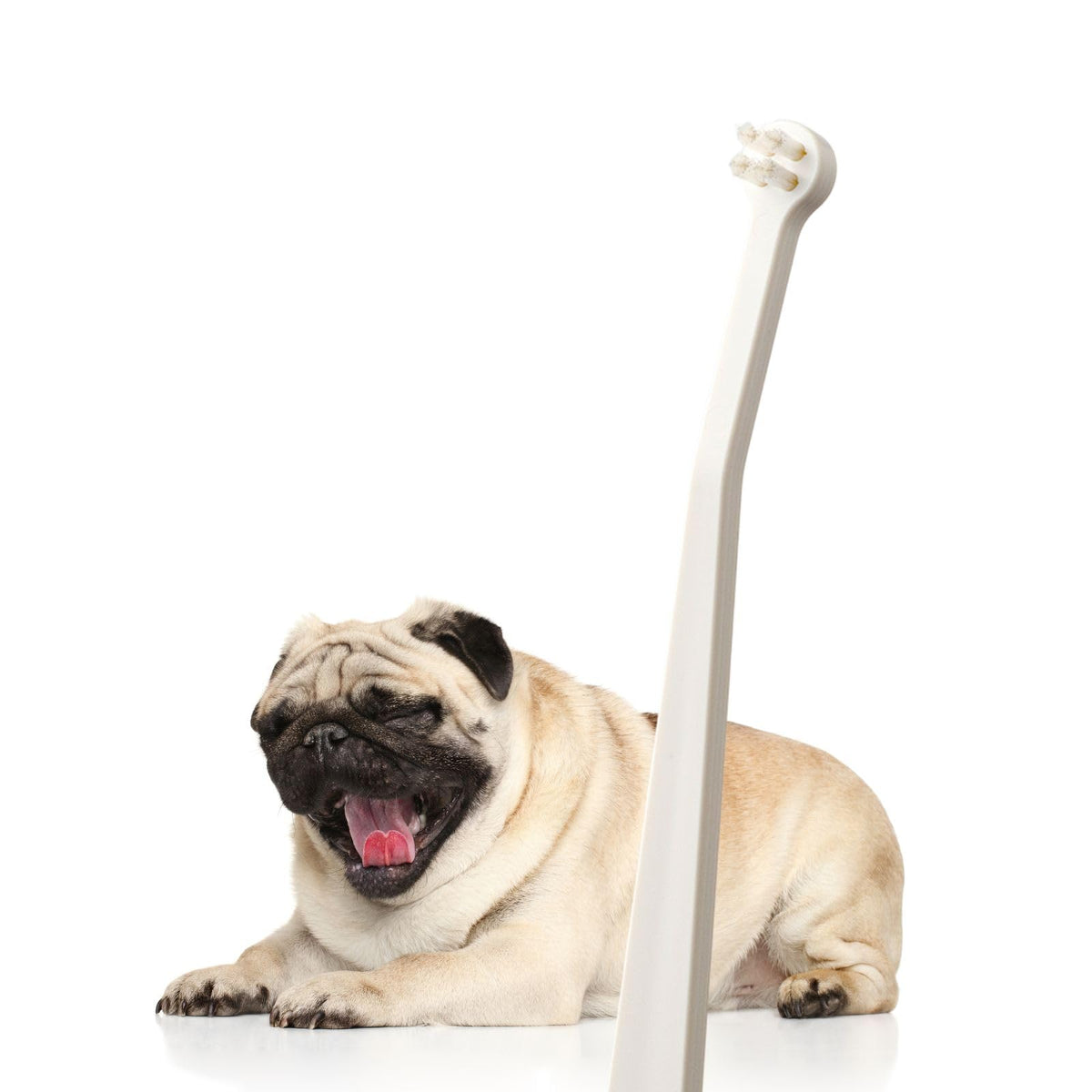 MIND UP cepillo para perros con cabeza micro, limpieza precisa