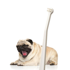 MIND UP cepillo para perros con cabeza micro, limpieza precisa