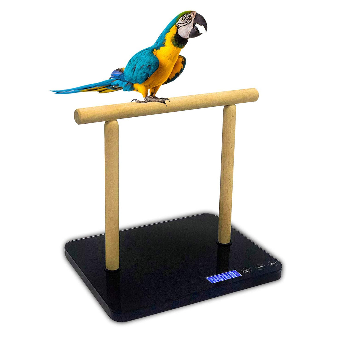 MINDPET-MED balanza digital para aves con posadero, ideal para monitorear peso