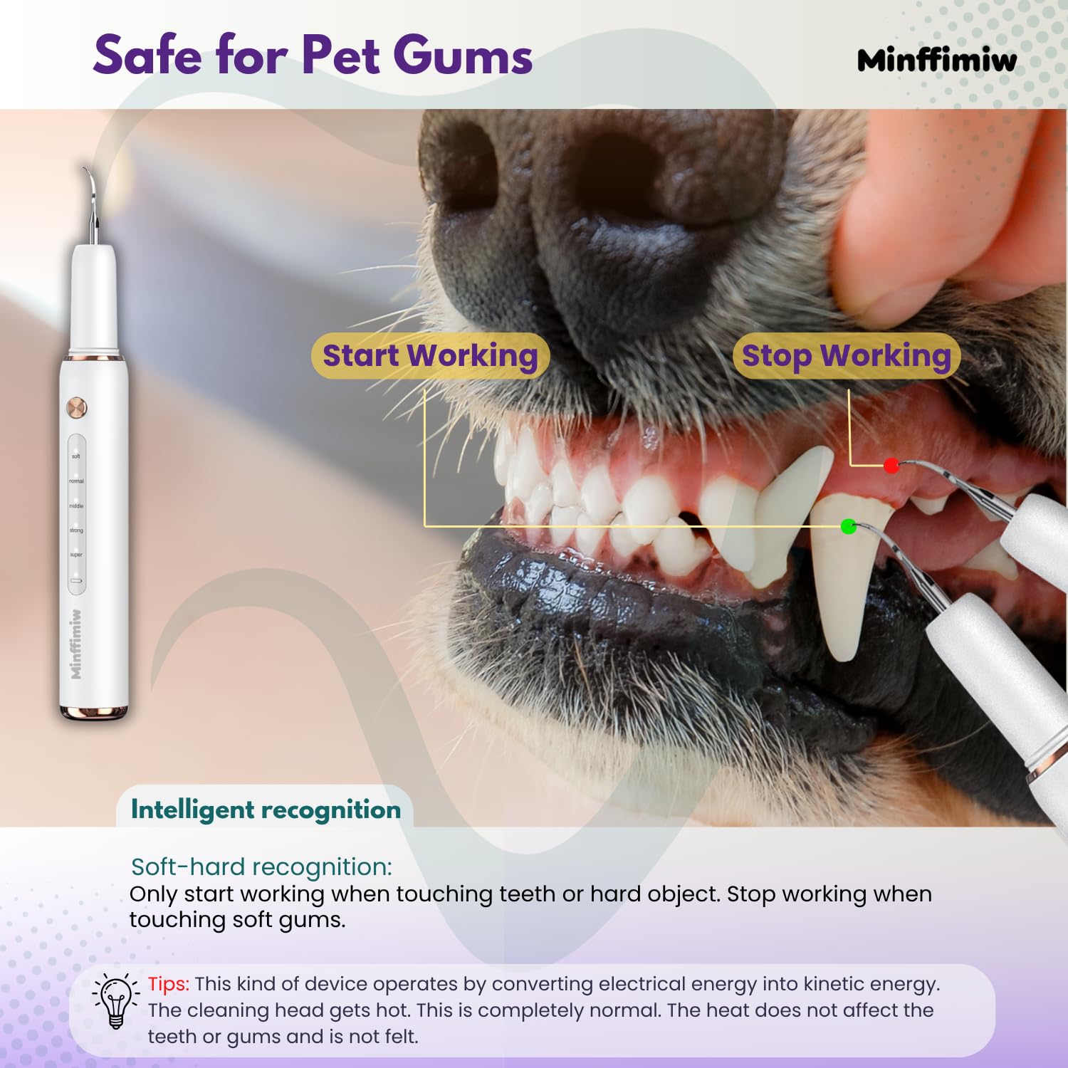 Minffimiw luz integrada limpieza dientes perro: iluminación precisa para limpieza controlada.