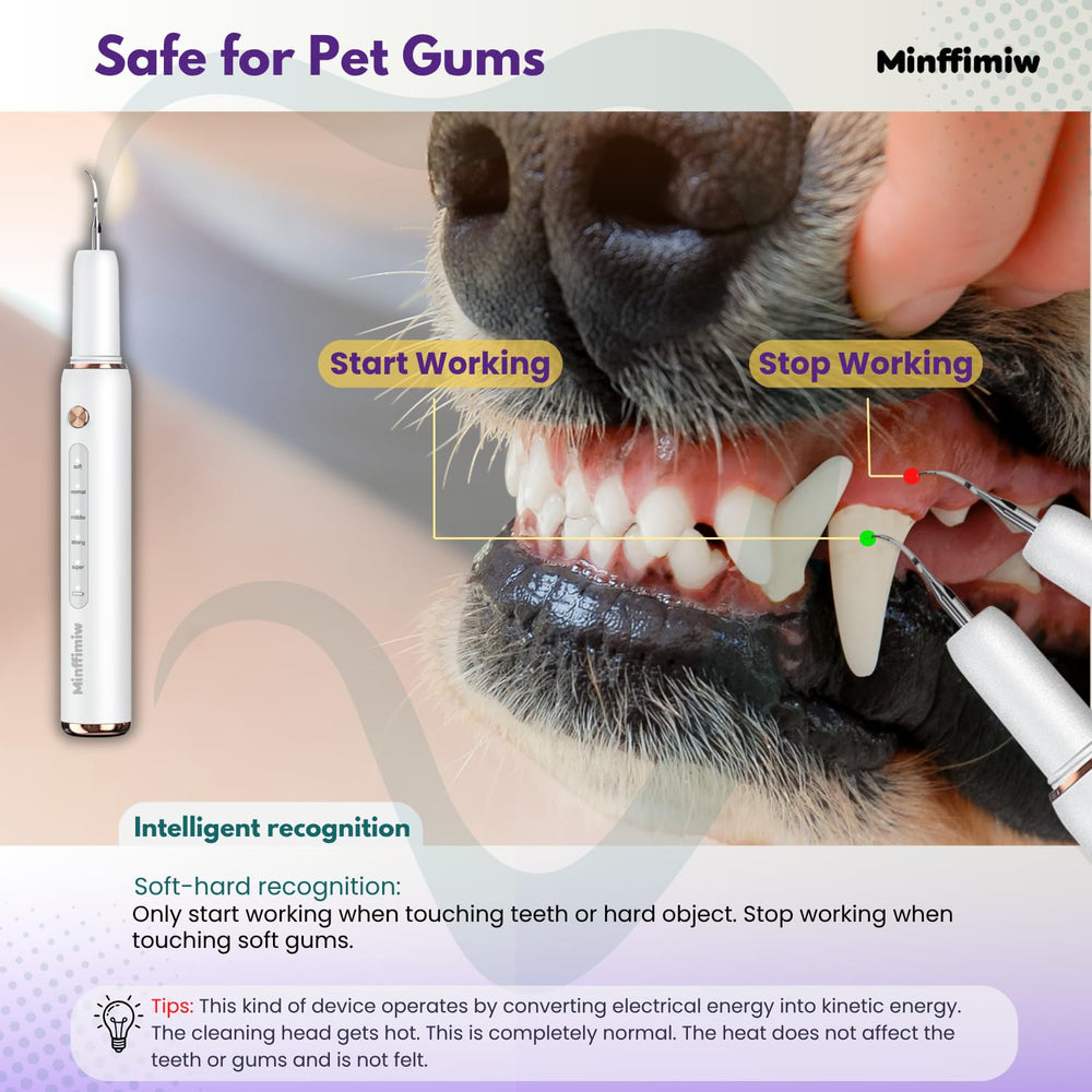 Minffimiw luz integrada limpieza dientes perro: iluminación precisa para limpieza controlada.