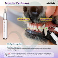 Minffimiw luz integrada limpieza dientes perro: iluminación precisa para limpieza controlada.