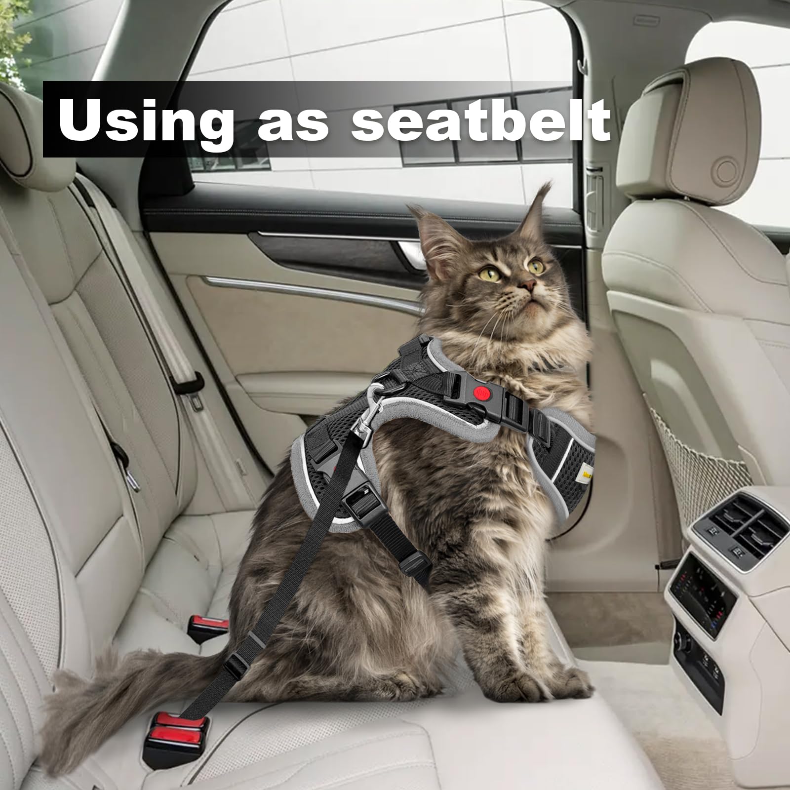 MingXpets arnés-entrenamiento-gato-exterior: útil para sesiones de entrenamiento al aire libre.