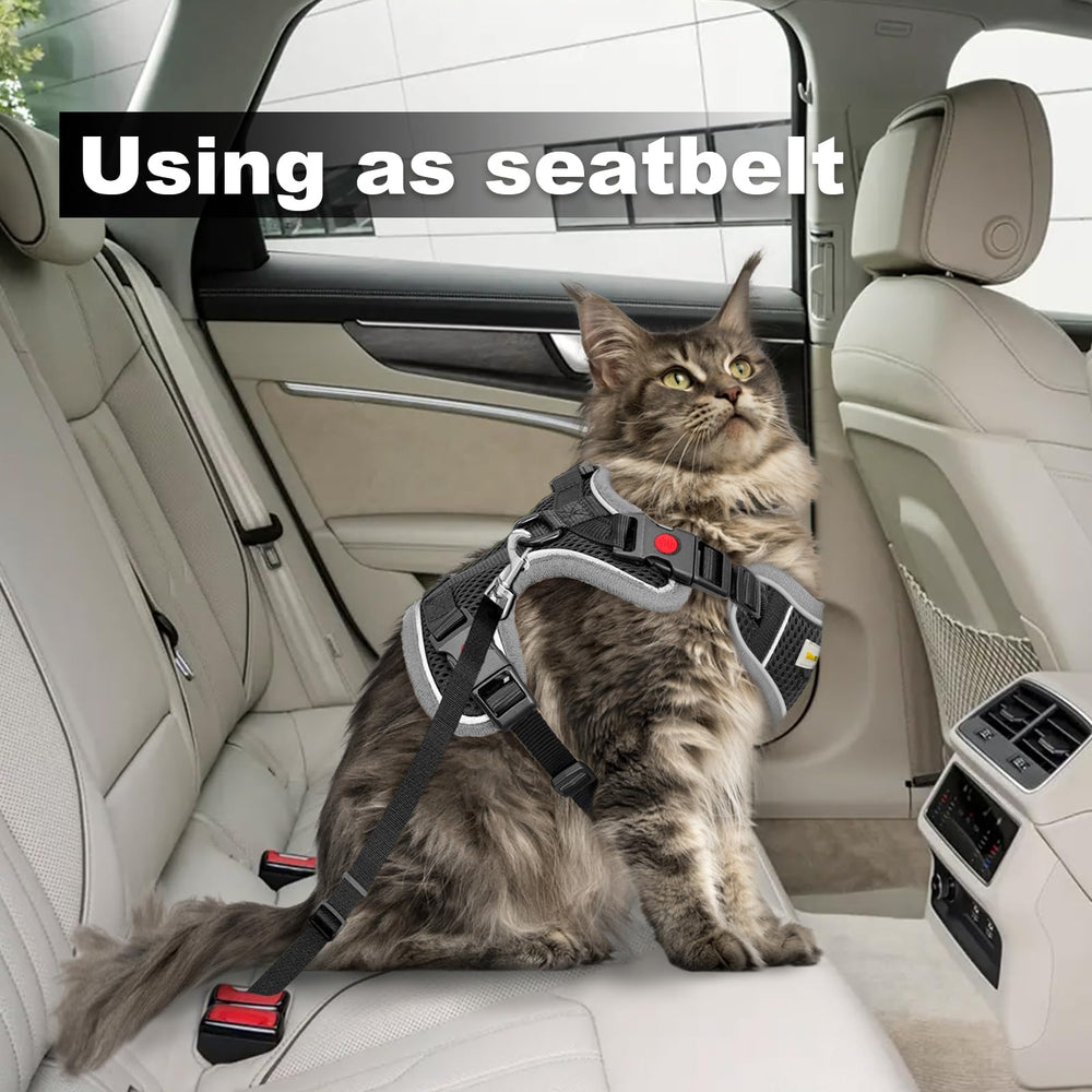 MingXpets arnés-entrenamiento-gato-exterior: útil para sesiones de entrenamiento al aire libre.