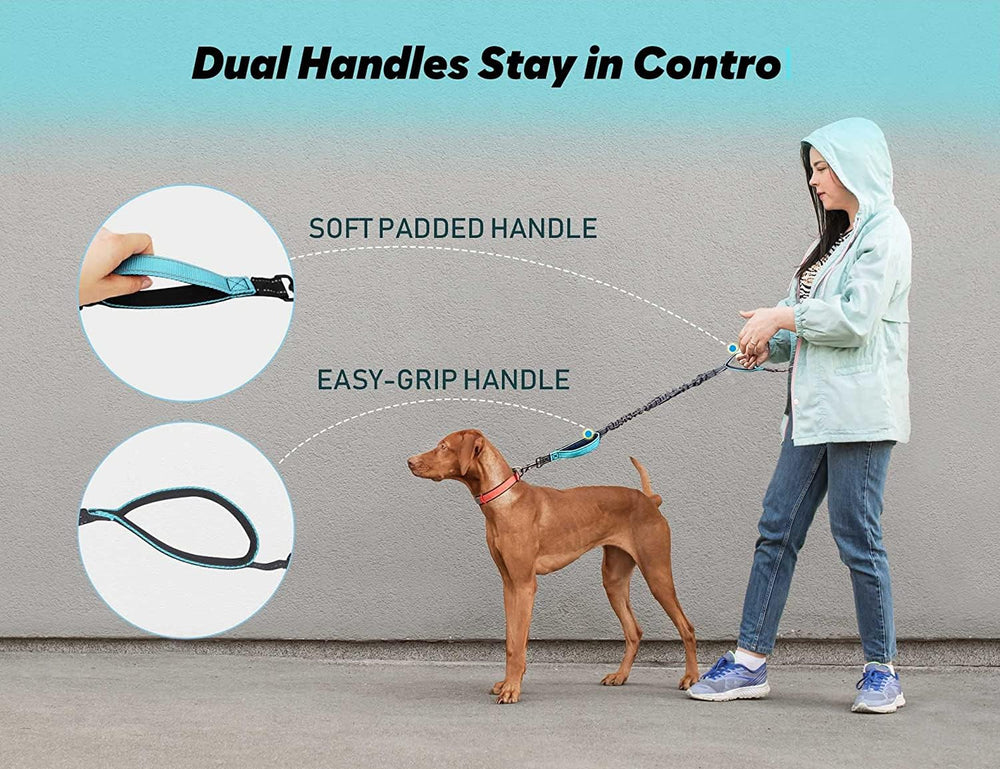 MingXpets correa doble 360 giratorio para giros suaves