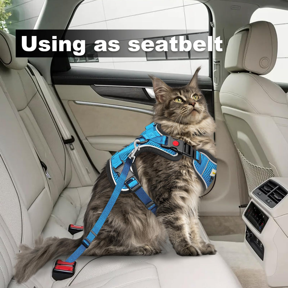 MingXpets correa gato viaje en coche para paseos seguros.