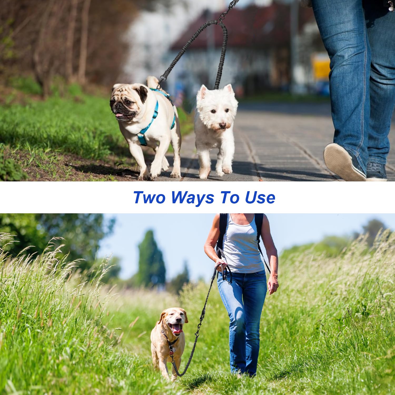 MingXpets paseo con dos perros para actividades familiares y seguras.