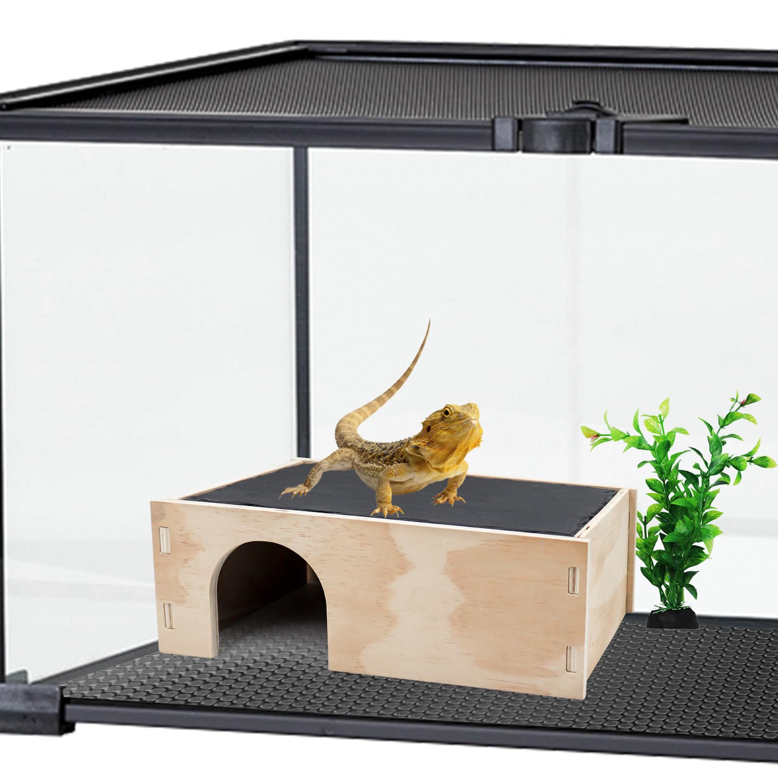 MinrzPet diseño versátil para dragones barbudos, geckos y tortugas, con múltiples usos.