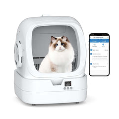 Mintakawa caja automática con autolimpieza del tambor, ideal para limpieza rápida.