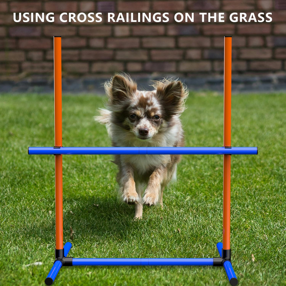 Mioule ejercicio al aire libre para perros en patios.