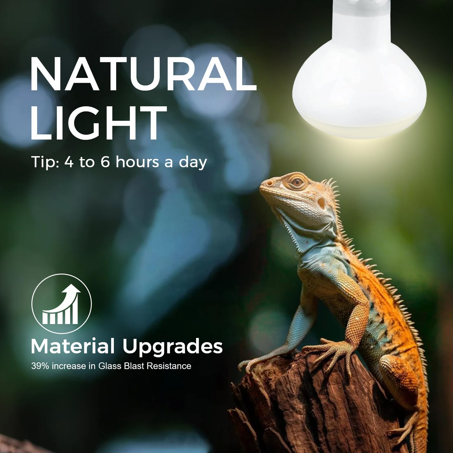 MISDOOD apto para reptiles y anfibios como mascotas.