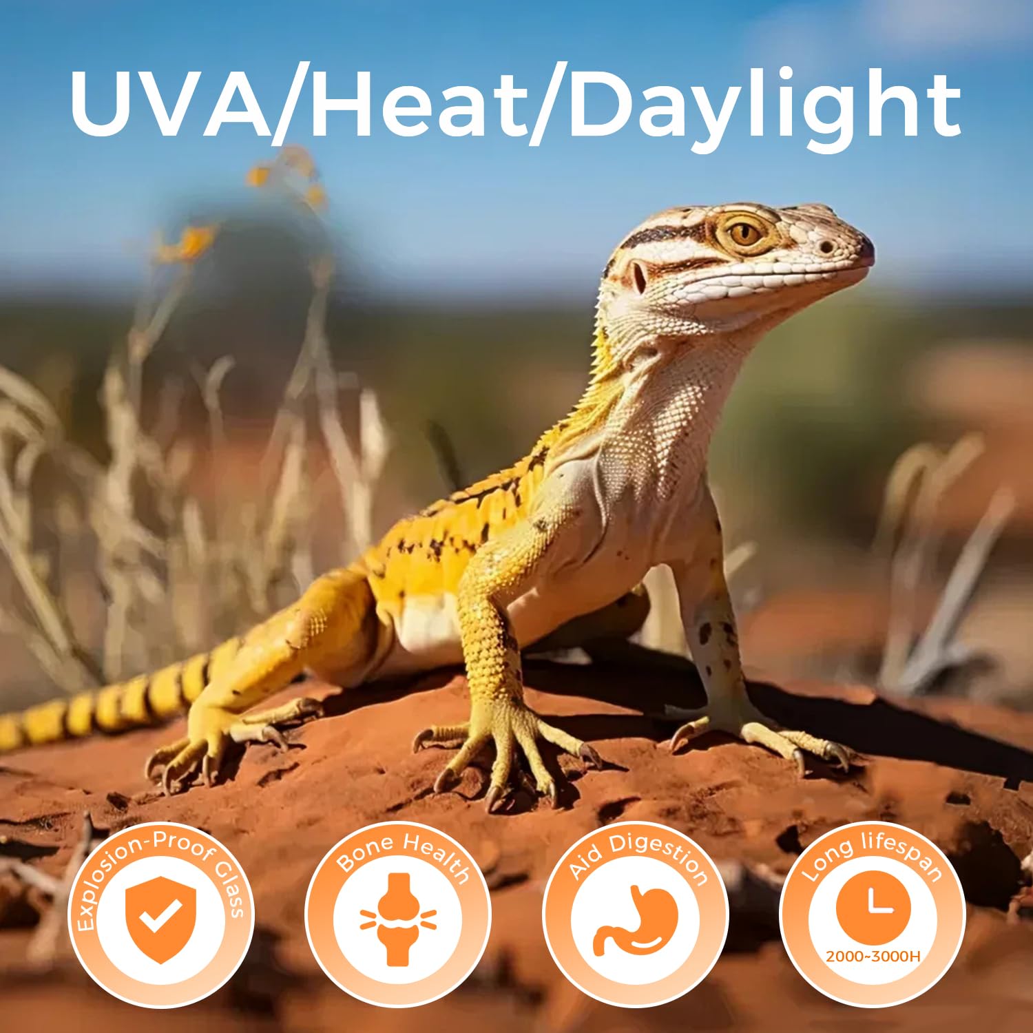 MISDOOD lámpara con luz UVA intensa para reptiles en terrario.