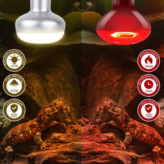 MISDOOD base E26, ajuste universal para luminarias comunes