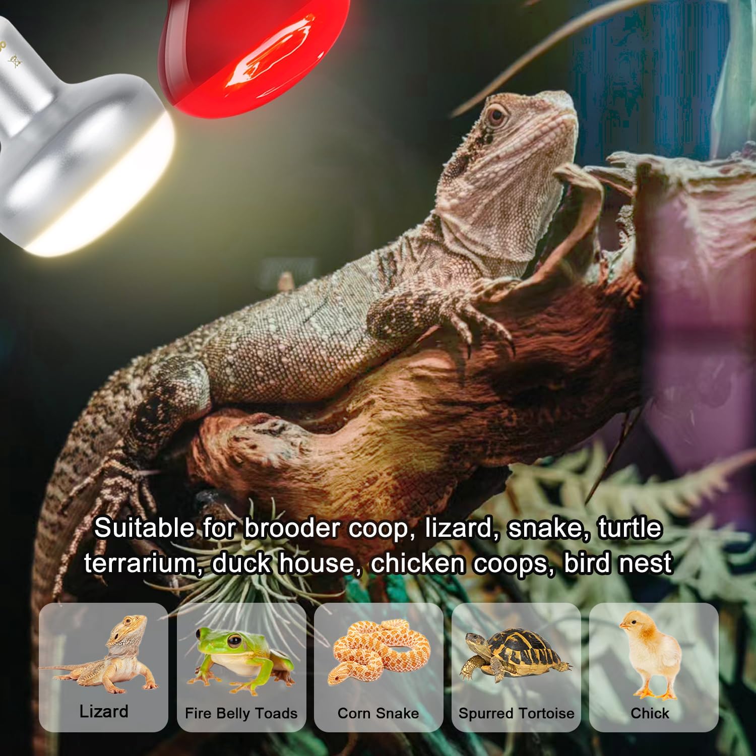 MISDOOD tecnología calor rápido, calentamiento estable para reptiles