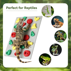MITCHENIFY detalle del material PLA del muro de escalada para reptiles.