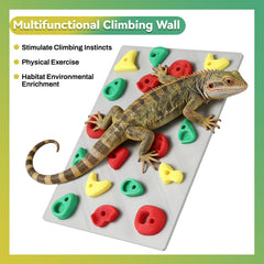 MITCHENIFY muro de escalada, seguro y duradero en PLA para reptiles curiosos.