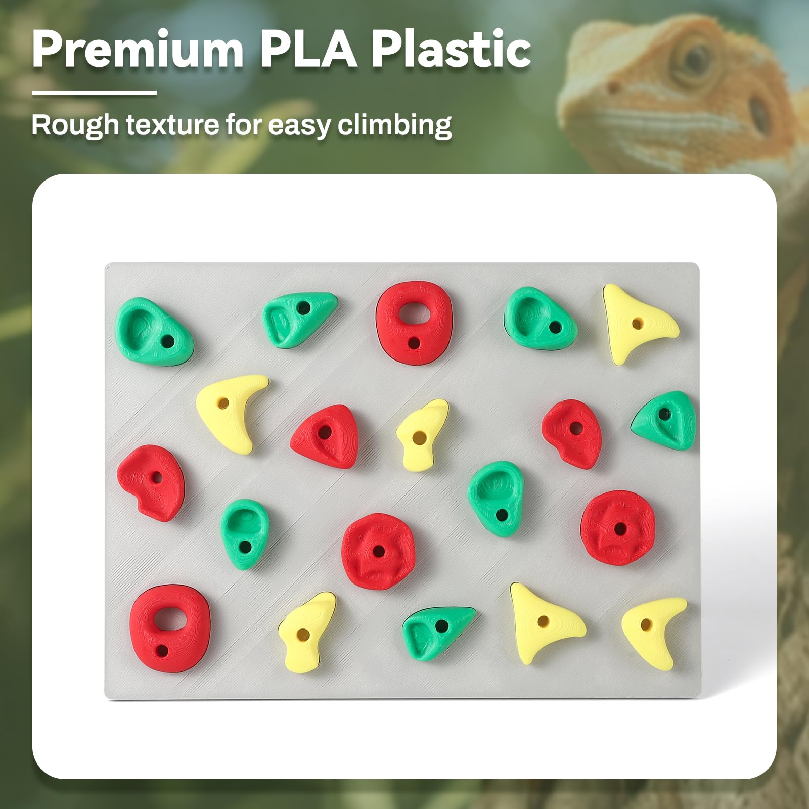 MITCHENIFY muro de escalada, regalo ideal para dueños de reptiles creativos.