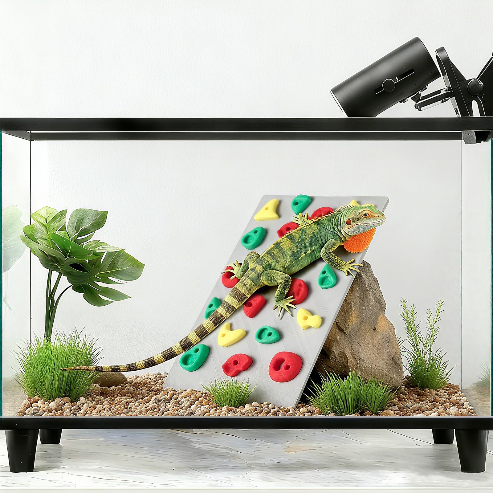 MITCHENIFY muro de escalada para reptiles, decorativo y funcional en paludario.