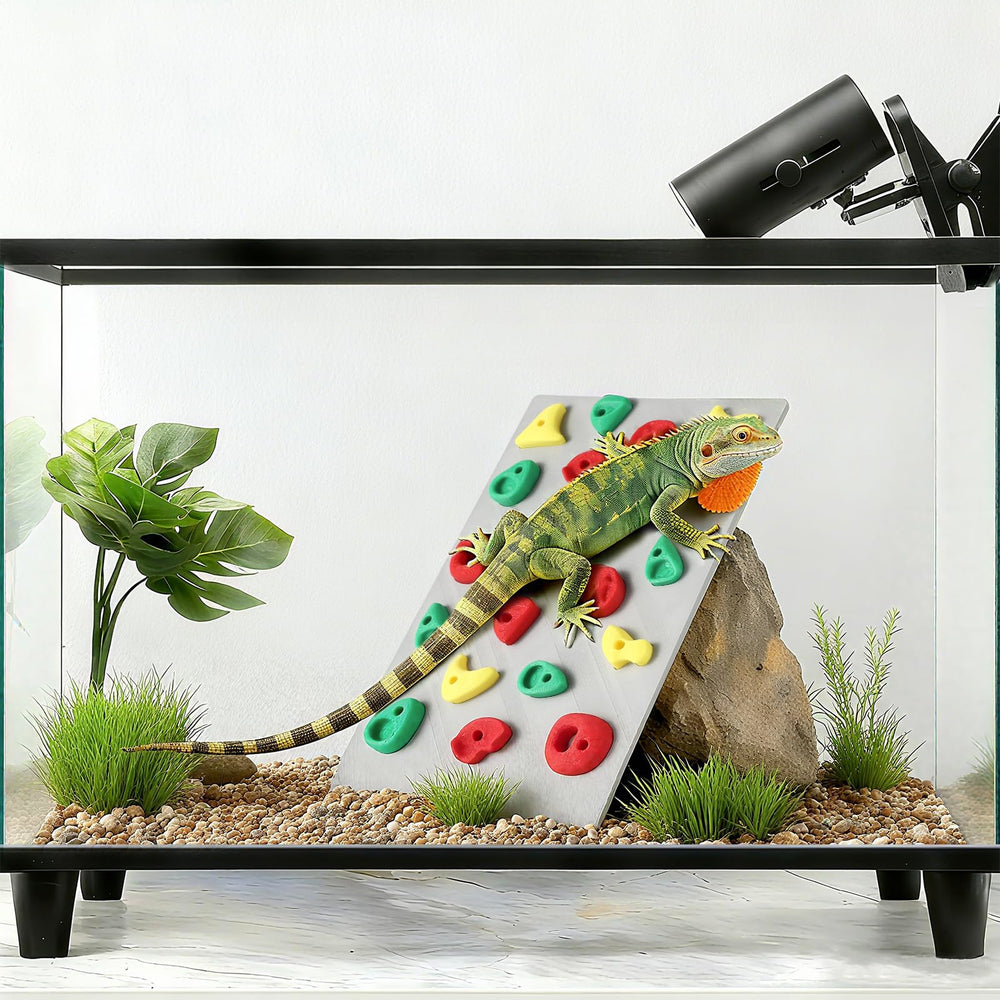 MITCHENIFY muro de escalada para reptiles, decorativo y funcional en paludario.