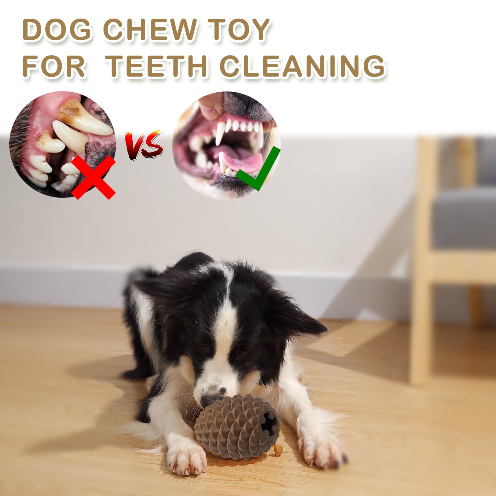 MITOCAPY regalo para perros: fomenta juego y vínculo entre dueño y mascota.